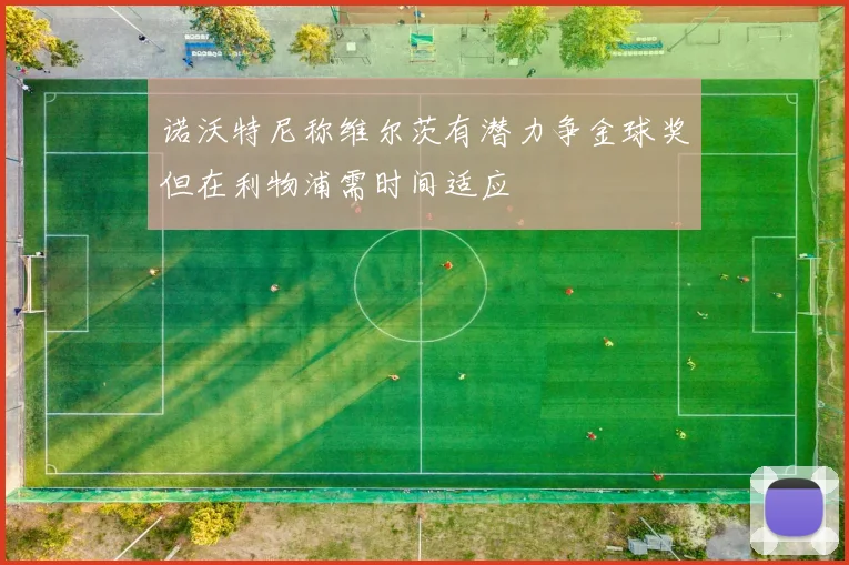 诺沃特尼称维尔茨有潜力争金球奖但在利物浦需时间适应